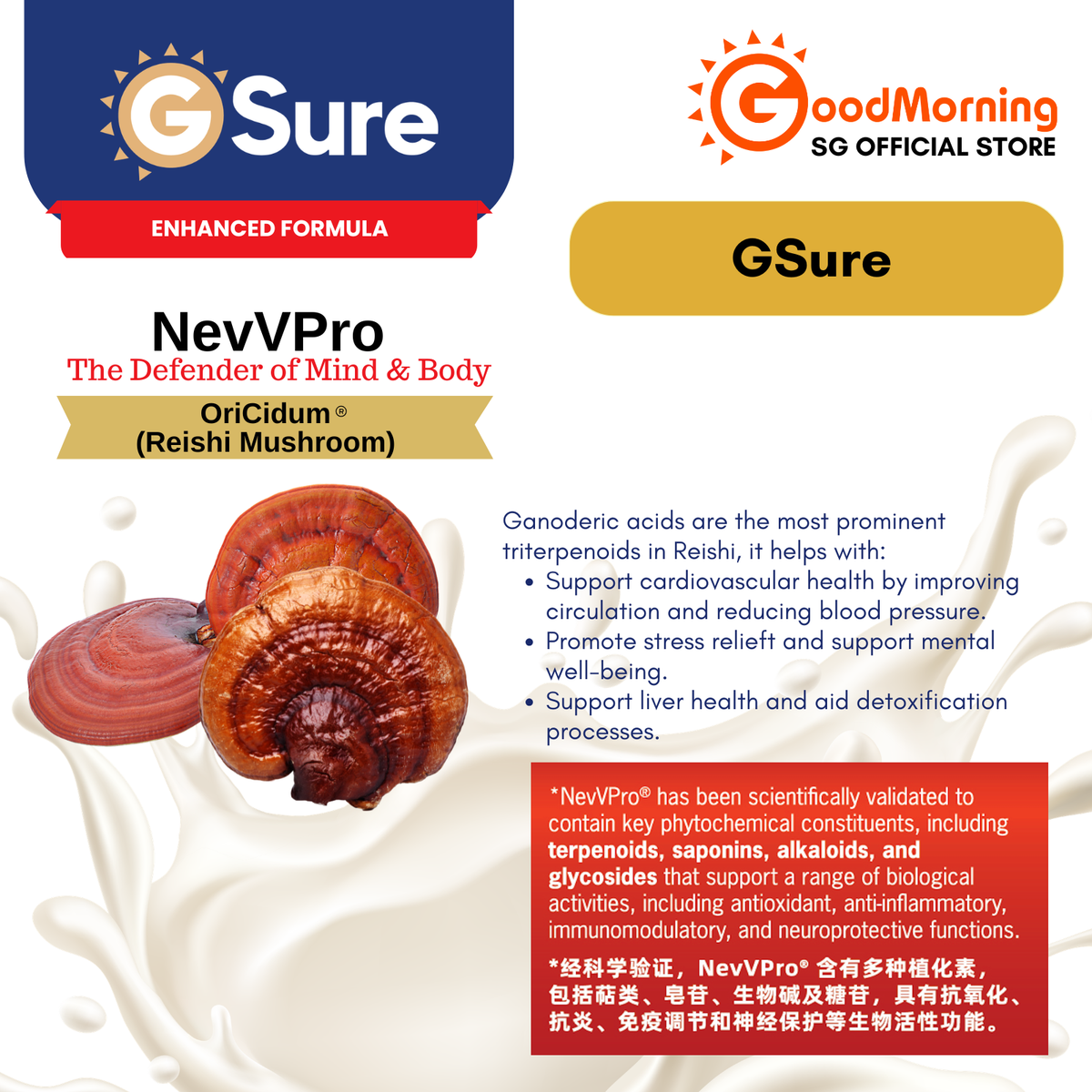 GoodMorning GSure Plant-Based Complete Nutritional Beverage 850gm