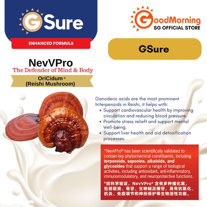 GoodMorning GSure Plant-Based Complete Nutritional Beverage 850gm