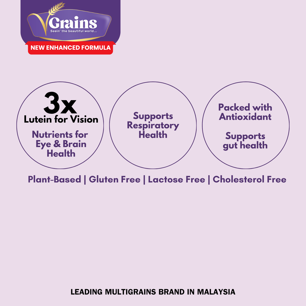 GoodMorning VGrains Multigrain Beverage - Purple Sweet Potato | Blueberries | Tiger-Milk Mushroom 30g x 12sachets
