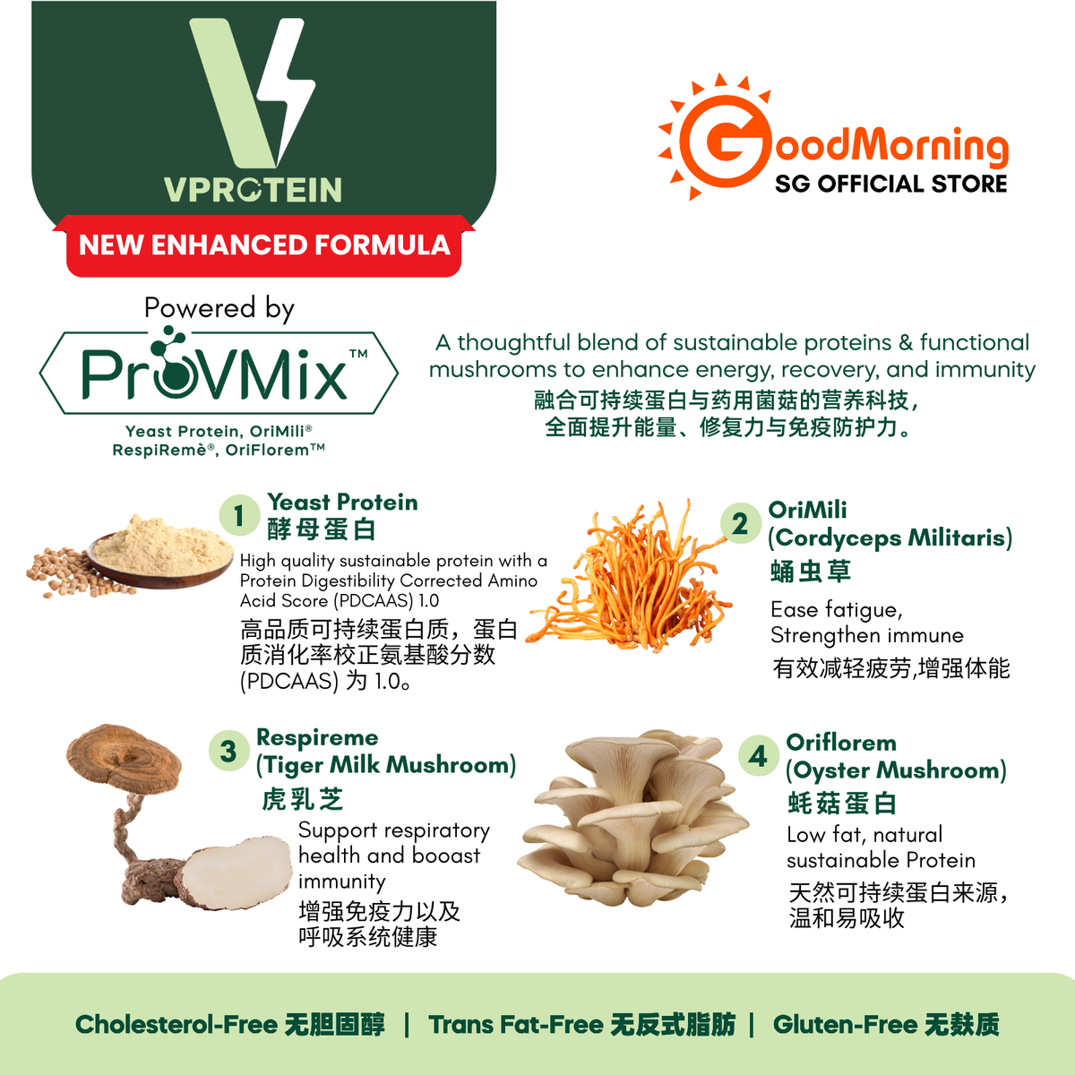 GoodMorning VProtein Plant-Based Complete Nutritional Beverage 850gm